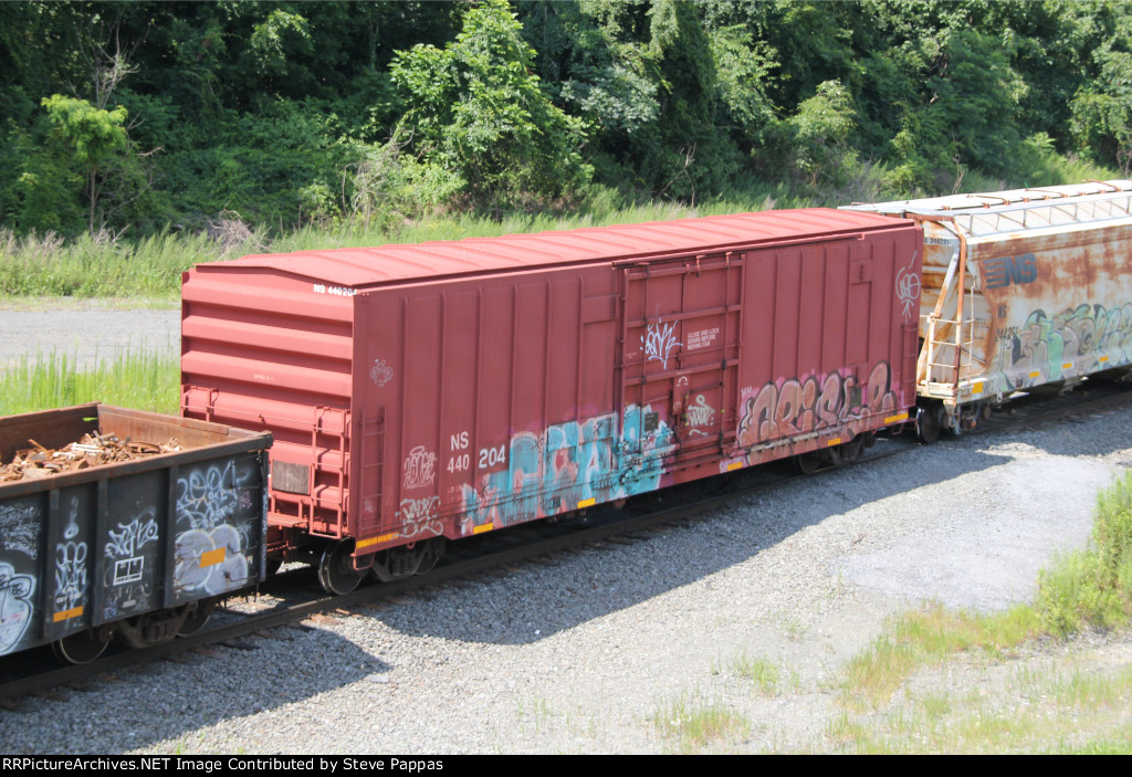 NS 440204